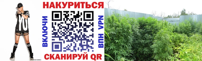 Купить Велиж Каннабис  Alpha PVP  Псилоцибиновые грибы  Меф  Амфетамин 
