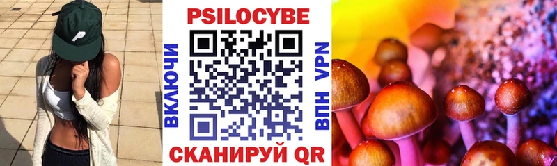 Псилоцибиновые грибы Cubensis  Велиж 